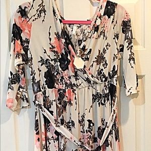 Pinkblush Maternity Maxi Dress